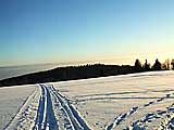 Skiare�l N�prava